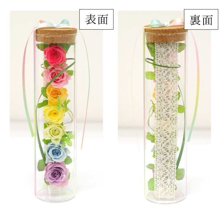 虹の橋グラスローズ