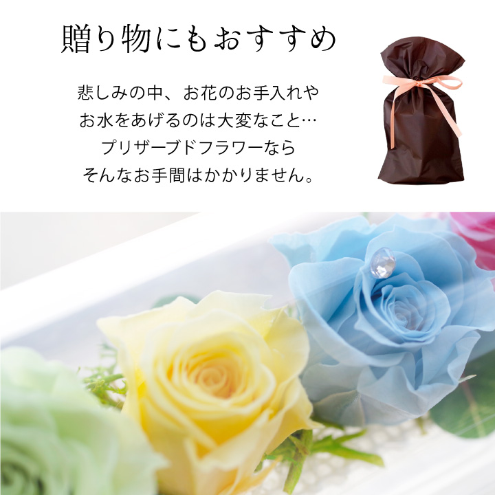 虹の橋グラスローズ