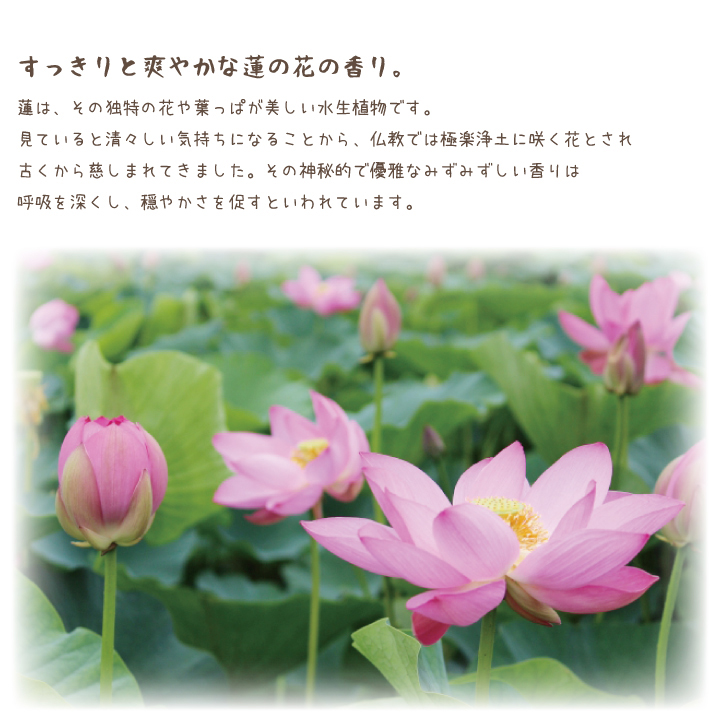 線香